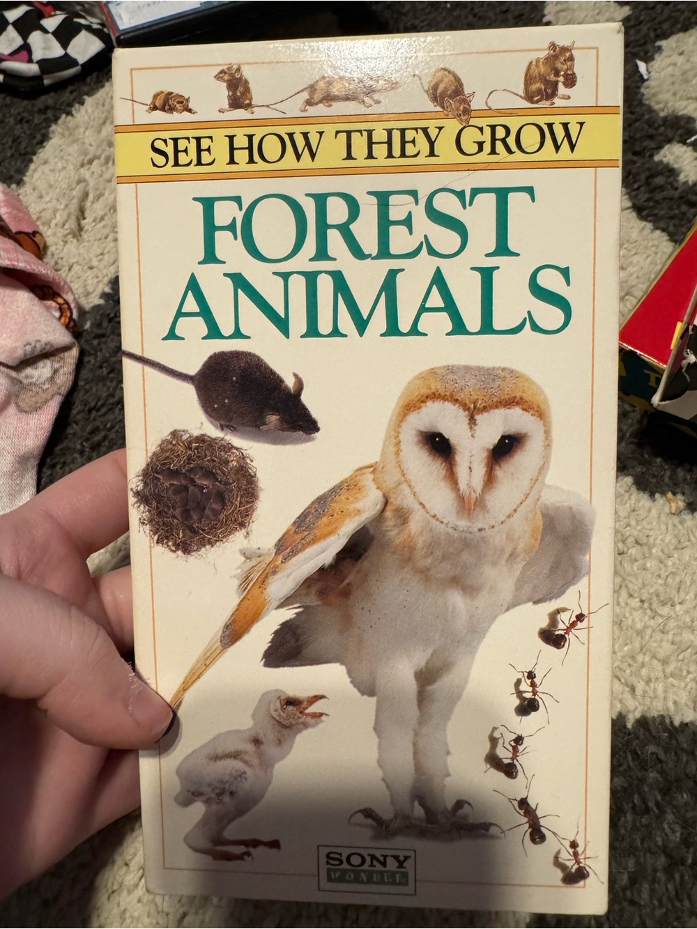 Sony Forest Animals Educational Video - White and Brown 3 VHS tapes